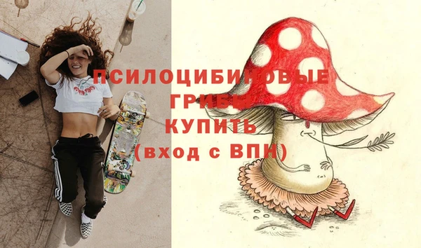 mix Верхний Тагил