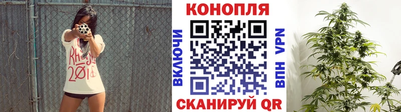 Купить где  Красноуфимск  Конопля MAZAR 
